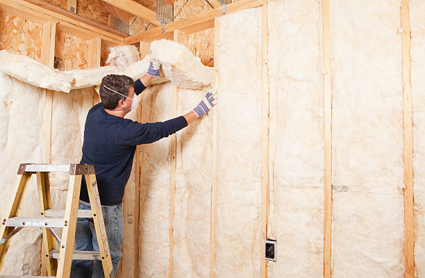 Best Spray Foam Insulation in Pierz, MN